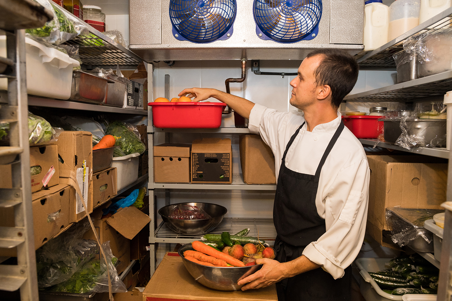 Walk In Refrigerator Maintenance